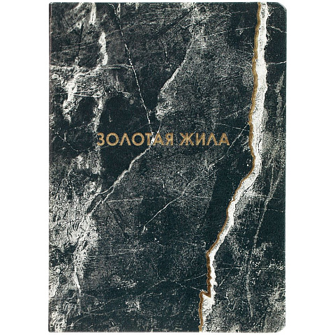 Ежедневник «Золотая Жила» - рис 2.