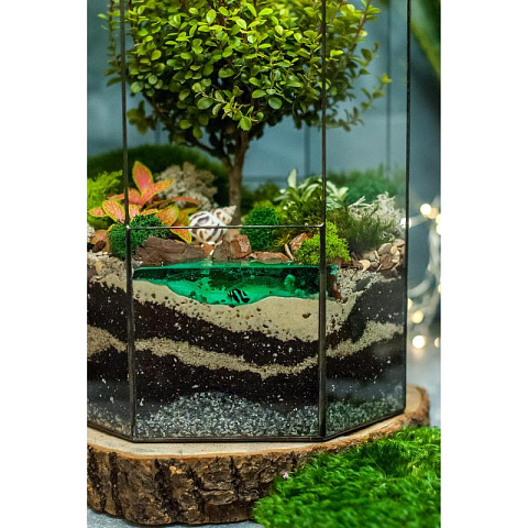 Сад в стекле Сказочный Остров - рис 5.