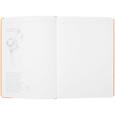 Ежедневник «История изобретений», недатированный, оранжевый - рис 8.