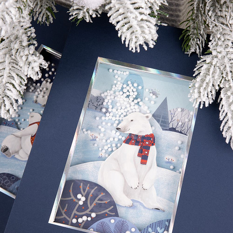 Коробка The Blue Bear, M - рис 5.