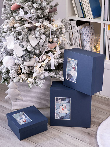 Коробка The Blue Bear, L - рис 5.