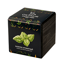 Набор для выращивания Small village cube Базилик ароматный