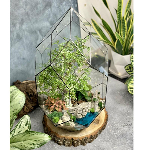 Сад в стекле “Дзен сад” - рис 2.