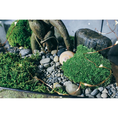 Сад в стекле Домик с бонсай - рис 6.