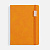 Ежедневник Urban Metal, недатированный, оранжевый - миниатюра
