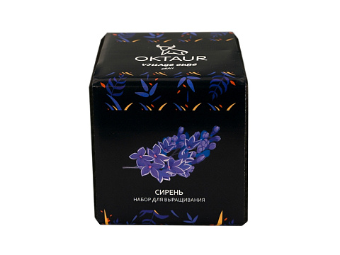 Набор для выращивания Small village cube Сирень - рис 2.