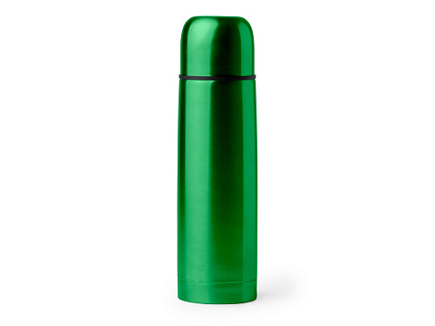 Термос SALVIA 500 мл, папоротниковый