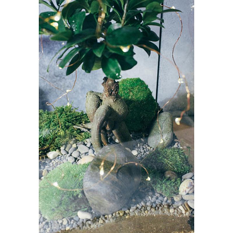 Сад в стекле Домик с бонсай - рис 3.