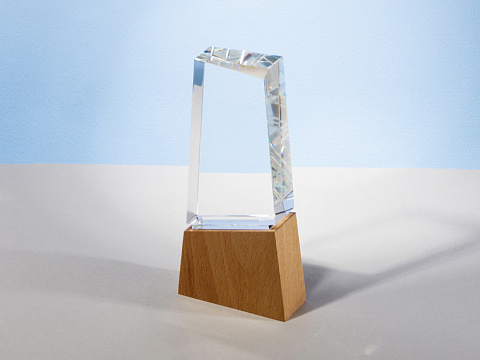 Награда Konix, прозрачный (Р) - рис 3.