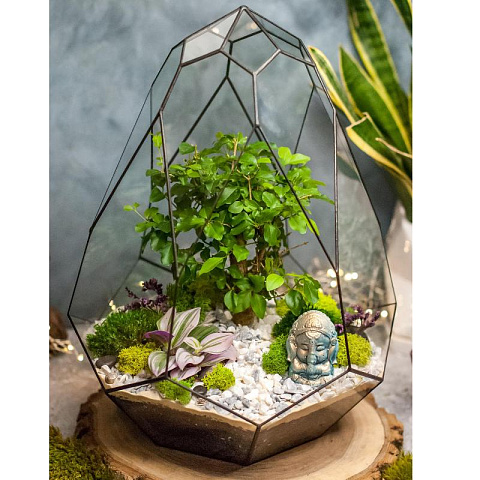 Сад в стекле Гармония природы