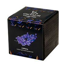 Набор для выращивания Small village cube Сирень