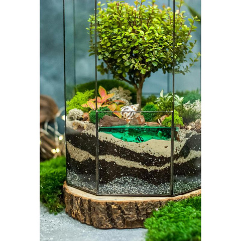 Сад в стекле Сказочный Остров - рис 4.