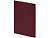 Бизнес-тетрадь А4 Pragmatic,  40л., клетка, бордовый - миниатюра