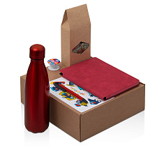 Подарочный набор с термобутылкой, блокнотом, ручкой и чаем, красный