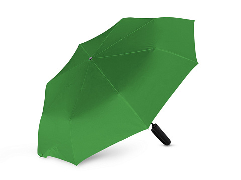 Складной зонт ALCIRA/АЛЬКИРА с системой защиты от снежной бури и ручкой-карабином, папоротниковый